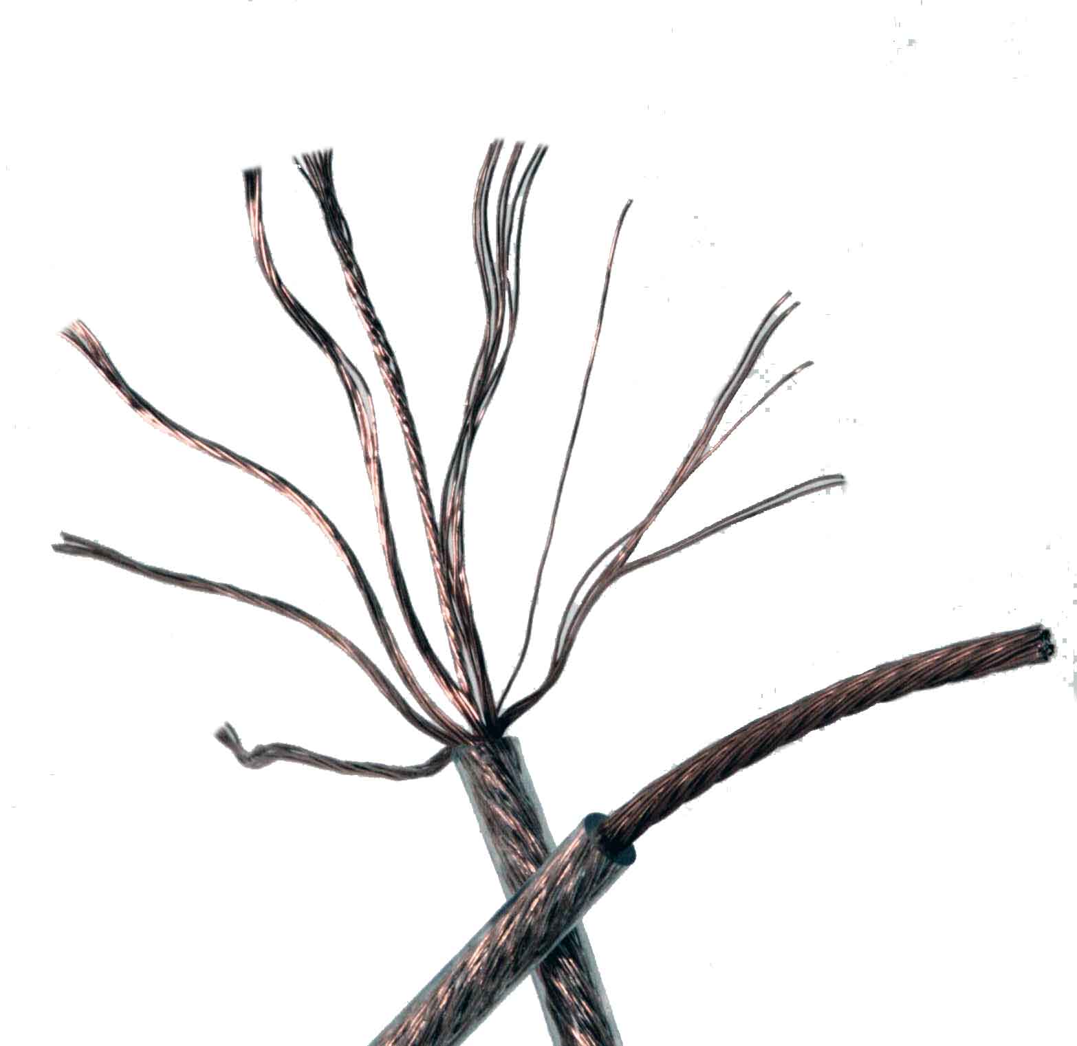 antennlitzeBTBsQVmtubFz6 Antennenlitze